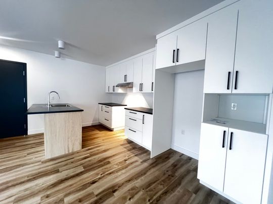 6005#3 rue de la Mattawin Trois-Rivières - Photo 1