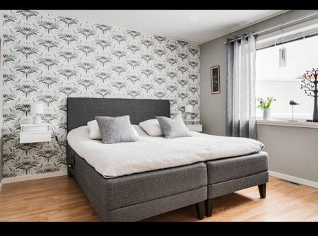 Kvällsgränd, Skellefteå - Foto 2
