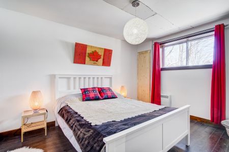 449 Ch. Albert-Duquesne - Photo 4