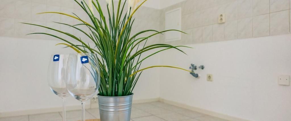 3-Raum-Wohnung - Foto 1