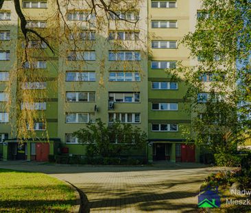 Tychy - Zdjęcie 1