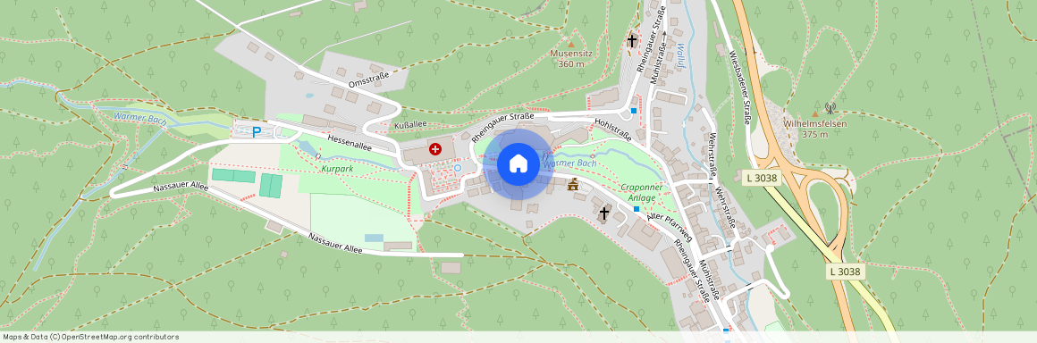 65388 Hessen - Schlangenbad