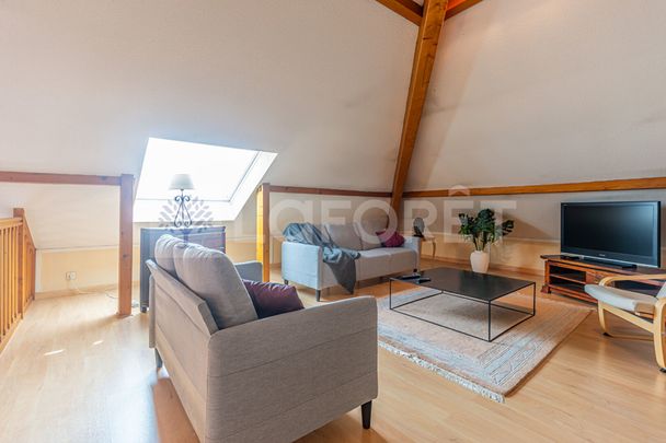 ANNECY MEYTHET - T3 - 74.44m² - DUPLEX - MEUBLÉ - TERRASSE - CAVE - Photo 1