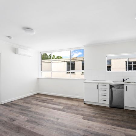 10/61 Davis Avenue, South Yarra VIC 3141 - Apartment For Rent | Domain - Photo 3