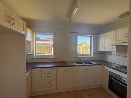 Sensational Space on Sampson - Photo 5