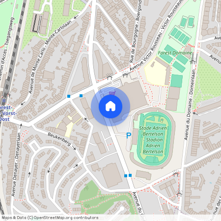 Avenue du Globe, 24, 11, 1190, Forest