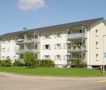 4 Zimmer-Wohnung in Kloten mieten - Foto 2