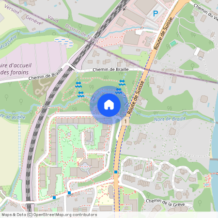1290, Versoix, Grand-Montfleury, 36