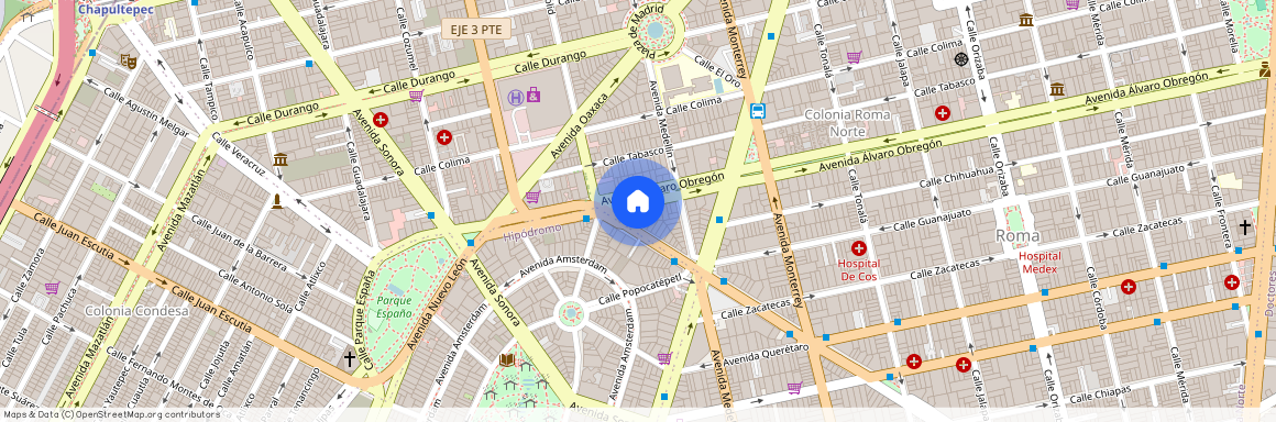 Avenida Álvaro Obregón 250, Roma Norte, 06700 Mexico City, CMX, Mexico