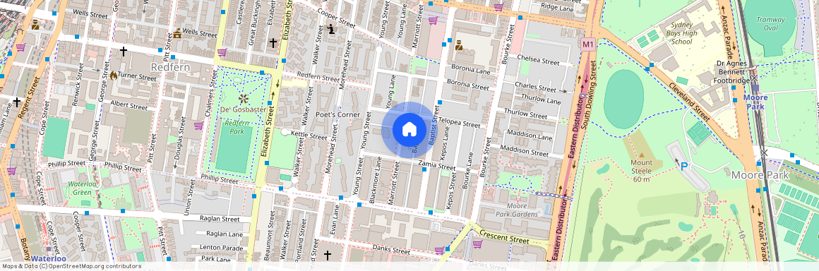 4/99 MARRIOTT, NSW 2016, Redfern