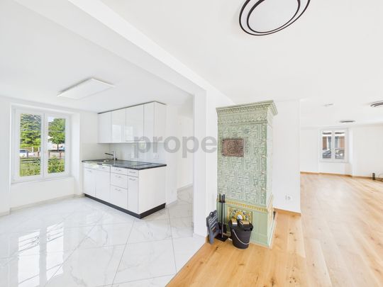 High-quality renovated 2.5-room apartment in a historic house - Photo 1