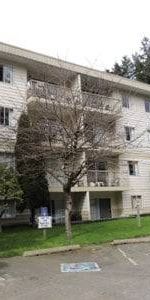 One Bedroom Suite for Rent Immediately - Photo 4