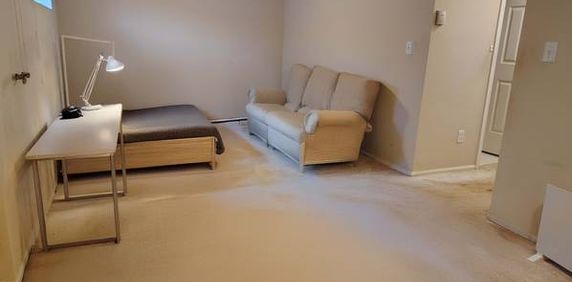 Furnished studio basement suite with private access and utilities incl - Photo 2