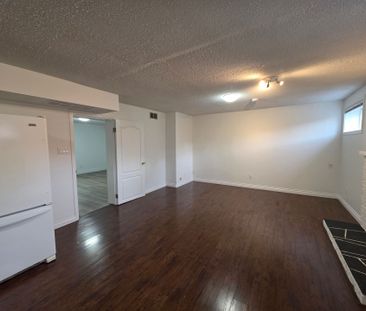 BSMT LEVEL OF GREAT HOUSE IN COQUITLAM (UTILITIES INCLUDED) - Photo 1