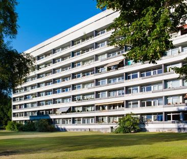 Einziehen und Wohlfühlen – Möblierte 3-Zimmer-Wohnung in Detmerode ... - Photo 1