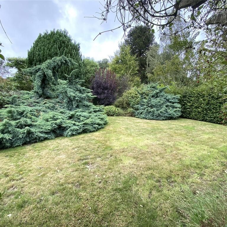 4 bedroom semi-detached house to rent - Photo 1