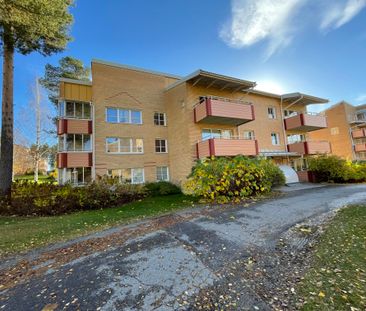 Löftesgränd, Skellefteå - Foto 3