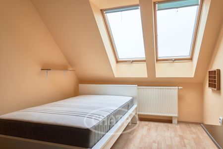 Szereg w Bielanach Wrocławskich - Photo 2