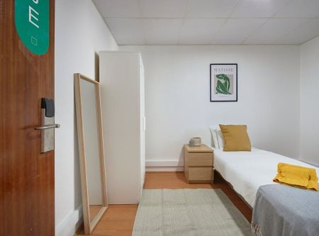 Rua Alexandre Herculano, Lisbon, Lisbon 1150-005 - Photo 3