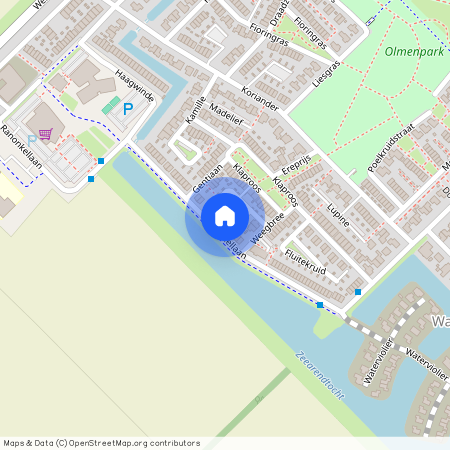 Ranonkellaan 247, Flora West, 8245HE, Lelystad