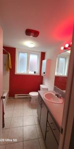 Logement 4 1/2 a partager - Photo 4