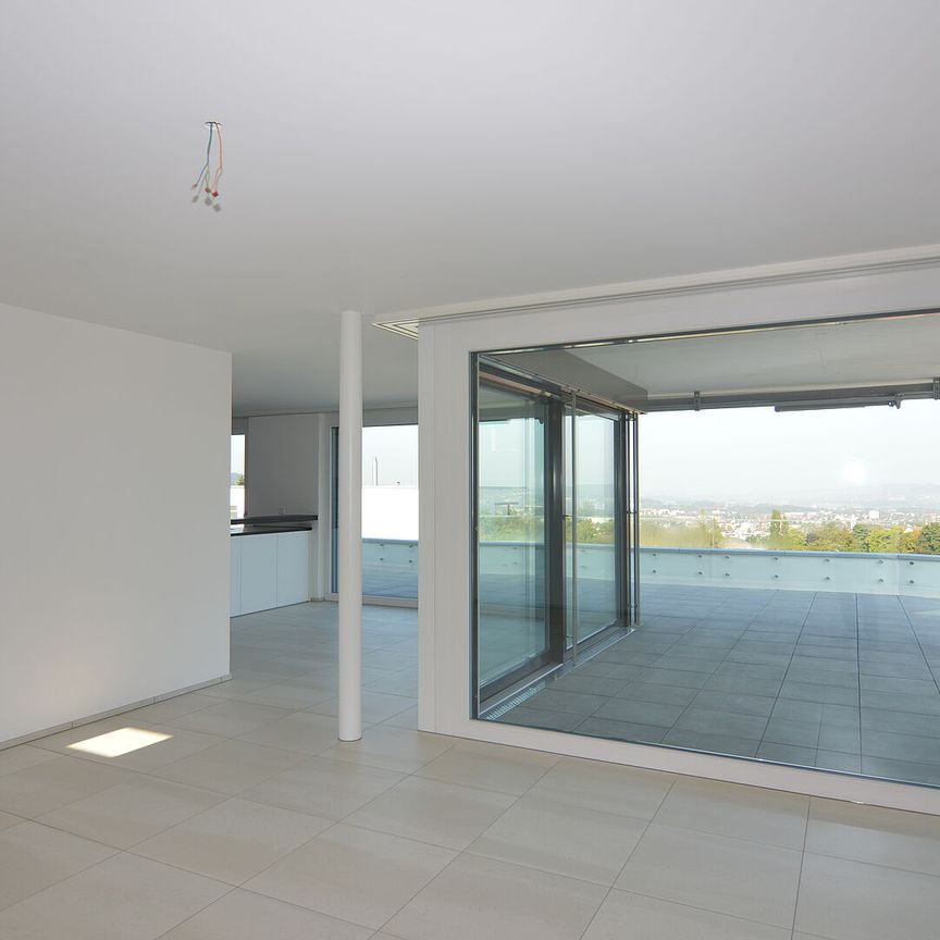 Traumhafte Attikawohnung in Frauenfeld - Photo 1