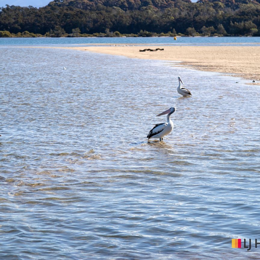 TUROSS HEAD NSW - Photo 1