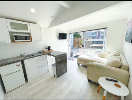Fully Furnished on Maunganui - Mt Maunganui - Photo 4
