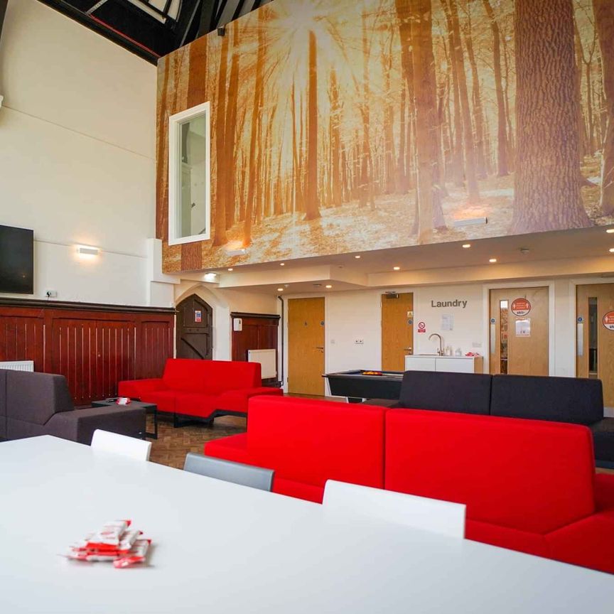 Studio (Single Bed) - Photo 1