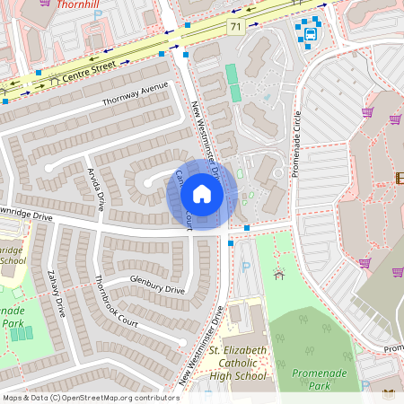 15 Cantertrot Court Unit# Masterbedroom, Vaughan