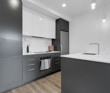 Condo for rent, Montréal (Ville-Marie) - Photo 4