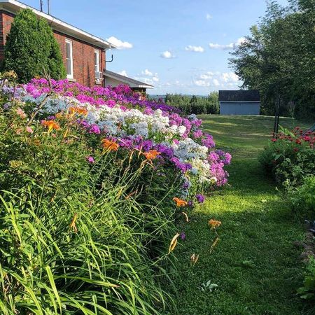 Appartement 3-1/2 à St-Denis de Brompton - Photo 3