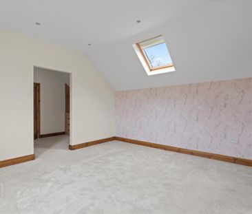 43 Old Ballygowan Road, Comber, BT23 5NP - Photo 5
