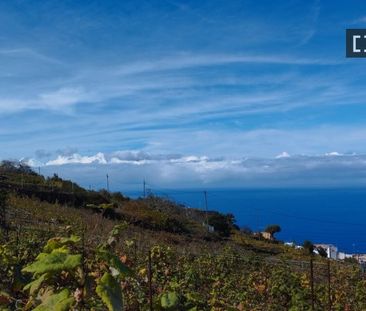 santa_cruz_de_tenerife, Canary Islands 38399 - Photo 5