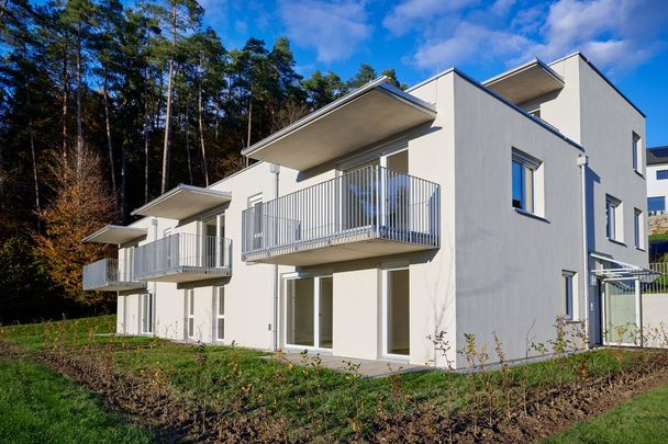 Schöne 3-Zimmer-Wohnung im Erdgeschoss mit Garten - Photo 1