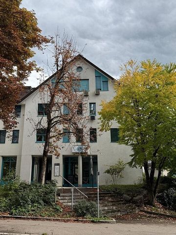 Erstbezug 3.5 Zimmerwohnung in Wetzikon - Foto 2