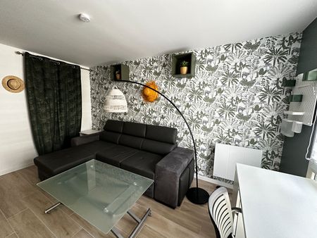 Location Appartement 1 pièce 19m² - Photo 3