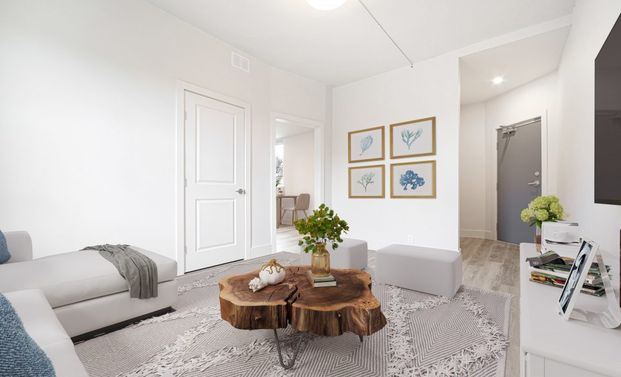 Edinburgh – 247 Young, Winnipeg, MB - Photo 1