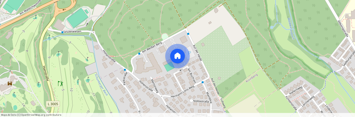 Am weissen Berg 3, 61476 Hessen - Kronberg im Taunus