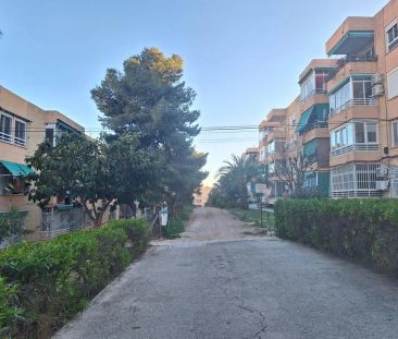 Alicante / Alacant - Photo 6