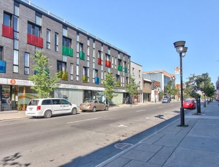 7370 Rue St-Hubert, app.201, H2R 2N3, H2R 2N3, Montréal - Photo 4