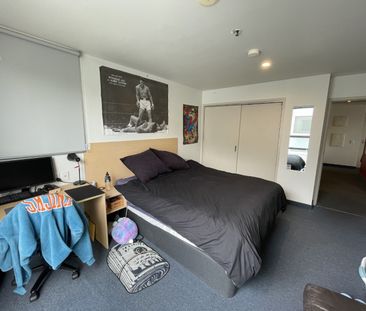 7 Bedrooms in Mt Cook! - Photo 4