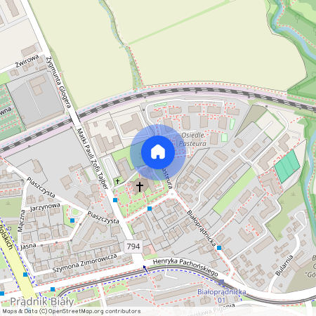 ul. Ludwika Pasteura, Prądnik Biały, Prądnik Biały, Kraków, małopolskie