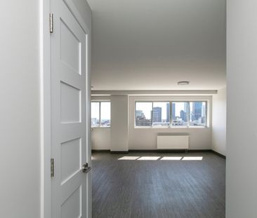 Appartement à louer - Montréal (Le Plateau-Mont-Royal) (Le Plateau-... - Photo 3