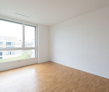 Singlewohnung in Muri AG zu vermieten - Foto 6