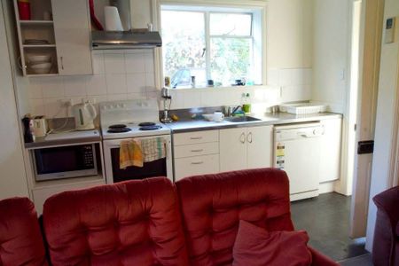 4 min walk from Dunedins main stree - Photo 2