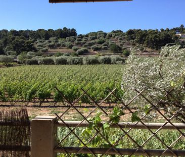 Location Appartement 3 pièces 80m² - Photo 3