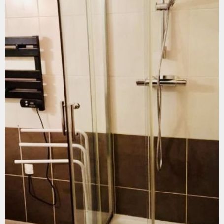 Location Appartement P1 Appartement T1 Meublé rénové(e) Roquemaure - Photo 1