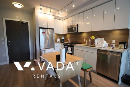 Unfurnished, Pet Friendly, 1 Bed 1 Bath Apartment For Rent - Photo 4