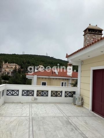 Μονοκατοικία για ενοικίαση Πολιτεία (Κηφισιά) - Φωτογραφία 3